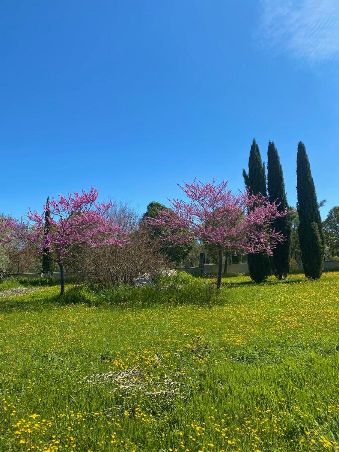 Agriturismo Colle Igino 马泰拉 外观 照片