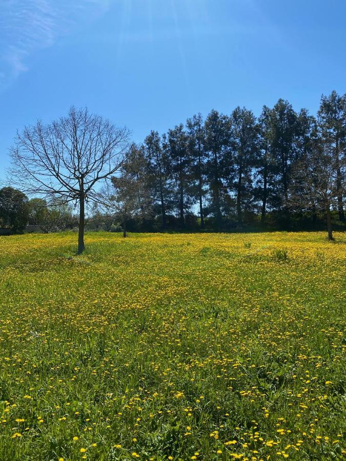 Agriturismo Colle Igino 马泰拉 外观 照片