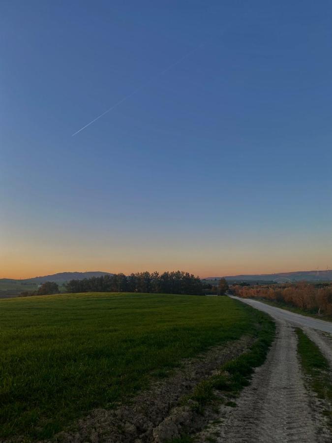 Agriturismo Colle Igino 马泰拉 外观 照片