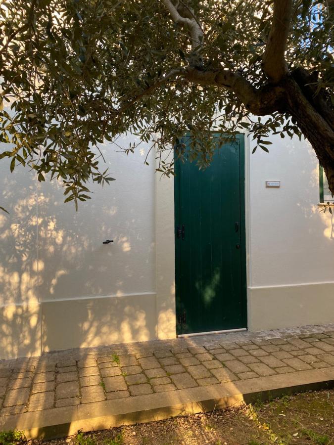 Agriturismo Colle Igino 马泰拉 外观 照片