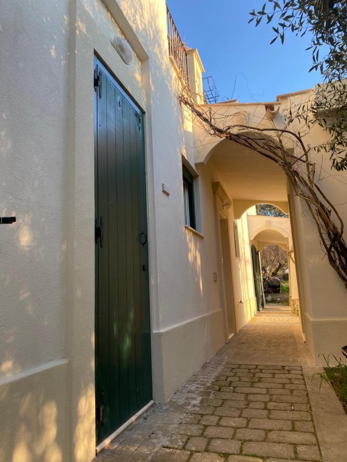 Agriturismo Colle Igino 马泰拉 外观 照片