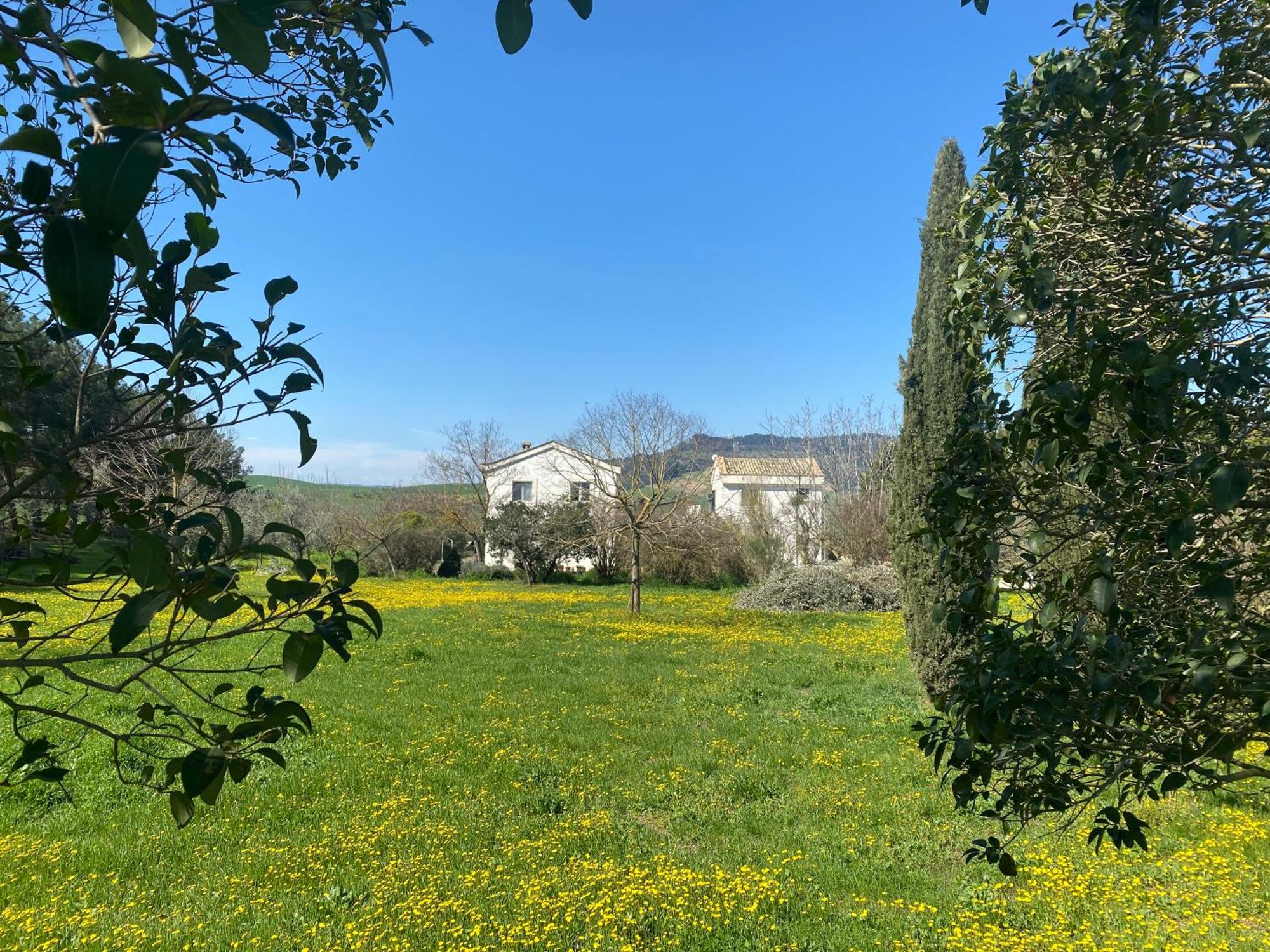 Agriturismo Colle Igino 马泰拉 外观 照片
