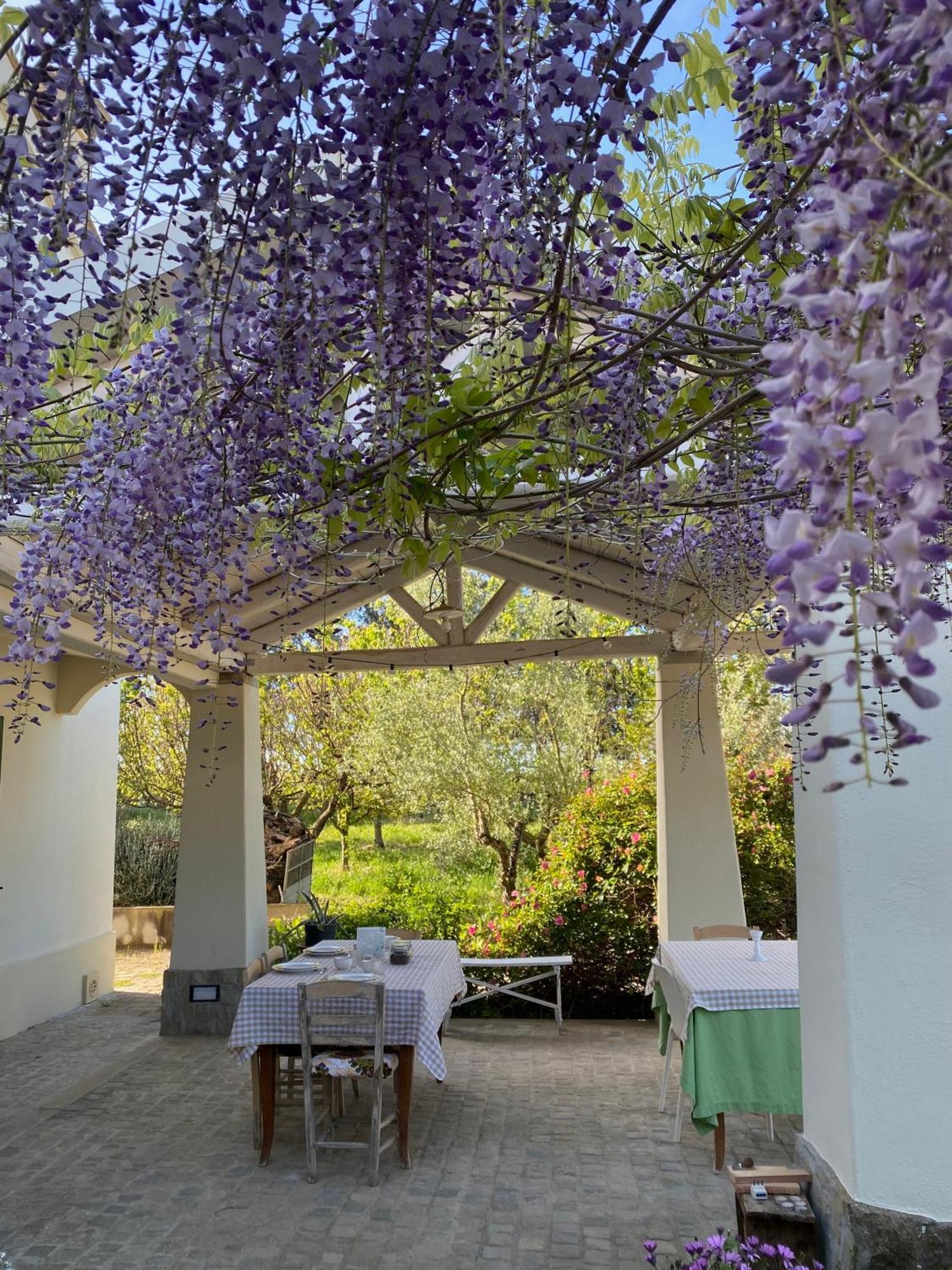 Agriturismo Colle Igino 马泰拉 外观 照片