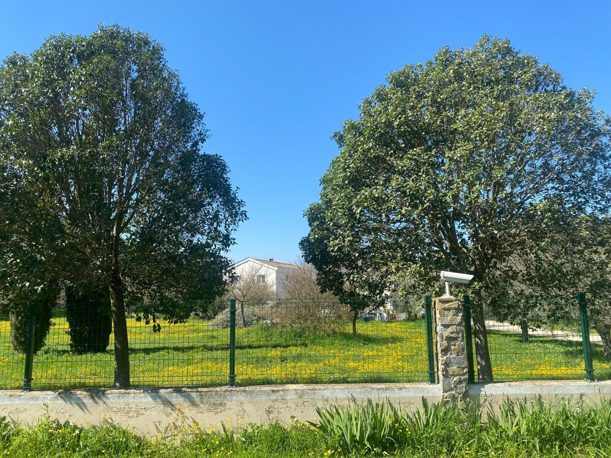 Agriturismo Colle Igino 马泰拉 外观 照片